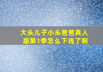 大头儿子小头爸爸真人版第1季怎么下线了啊