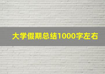 大学假期总结1000字左右