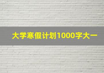 大学寒假计划1000字大一