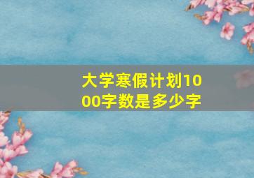 大学寒假计划1000字数是多少字