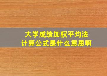 大学成绩加权平均法计算公式是什么意思啊