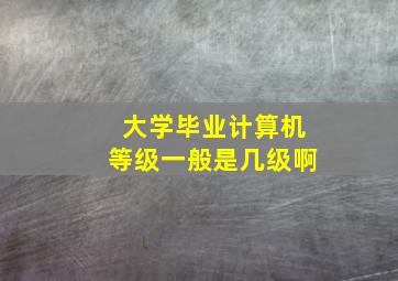 大学毕业计算机等级一般是几级啊