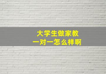 大学生做家教一对一怎么样啊