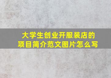 大学生创业开服装店的项目简介范文图片怎么写