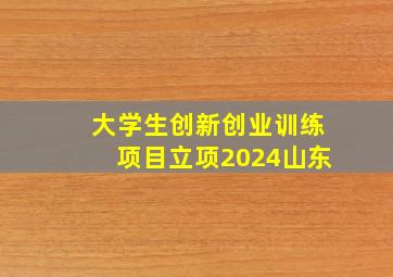 大学生创新创业训练项目立项2024山东