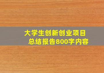 大学生创新创业项目总结报告800字内容