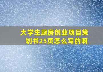 大学生厨房创业项目策划书25页怎么写的啊