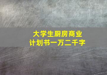 大学生厨房商业计划书一万二千字