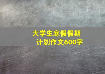 大学生寒假假期计划作文600字