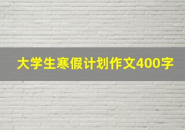 大学生寒假计划作文400字