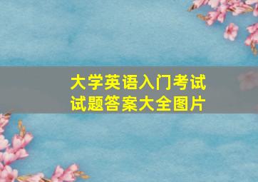 大学英语入门考试试题答案大全图片