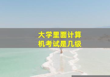 大学里面计算机考试是几级