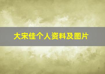 大宋佳个人资料及图片