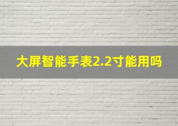 大屏智能手表2.2寸能用吗