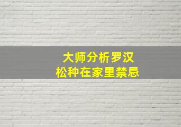 大师分析罗汉松种在家里禁忌