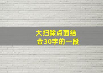 大扫除点面结合30字的一段