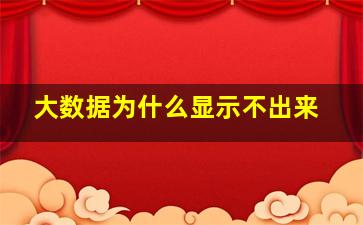 大数据为什么显示不出来