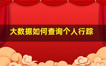 大数据如何查询个人行踪