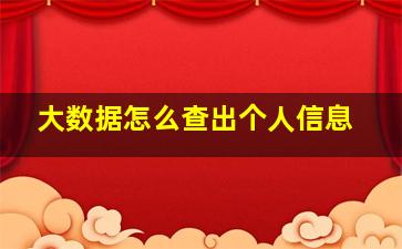 大数据怎么查出个人信息