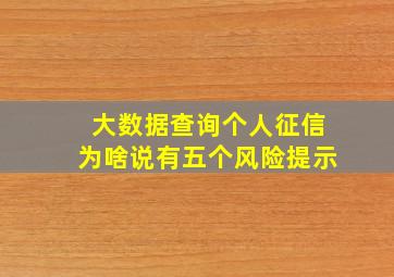 大数据查询个人征信为啥说有五个风险提示