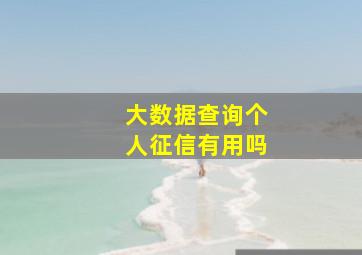 大数据查询个人征信有用吗