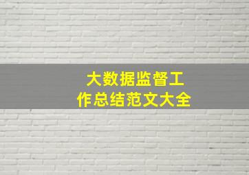 大数据监督工作总结范文大全