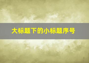 大标题下的小标题序号