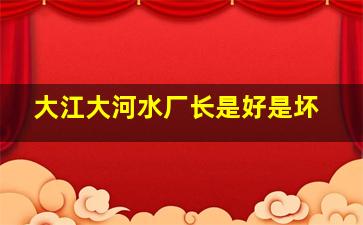 大江大河水厂长是好是坏