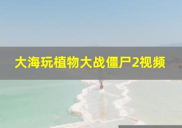 大海玩植物大战僵尸2视频