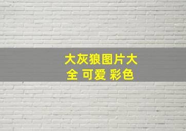 大灰狼图片大全 可爱 彩色