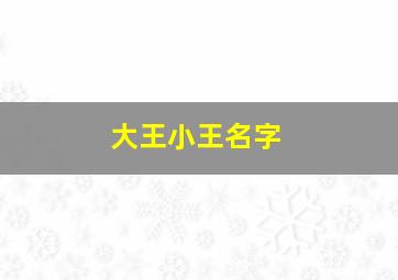 大王小王名字