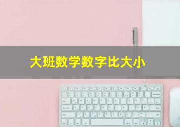 大班数学数字比大小