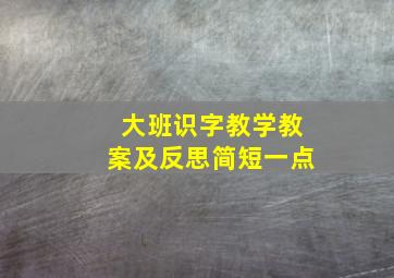 大班识字教学教案及反思简短一点