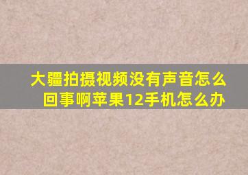 大疆拍摄视频没有声音怎么回事啊苹果12手机怎么办