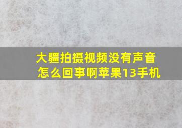 大疆拍摄视频没有声音怎么回事啊苹果13手机