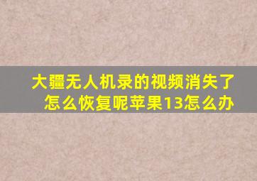 大疆无人机录的视频消失了怎么恢复呢苹果13怎么办