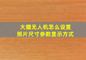 大疆无人机怎么设置照片尺寸参数显示方式