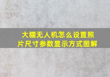 大疆无人机怎么设置照片尺寸参数显示方式图解