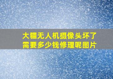 大疆无人机摄像头坏了需要多少钱修理呢图片