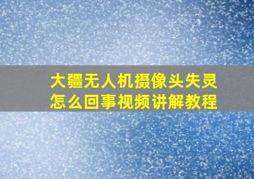 大疆无人机摄像头失灵怎么回事视频讲解教程