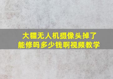 大疆无人机摄像头掉了能修吗多少钱啊视频教学