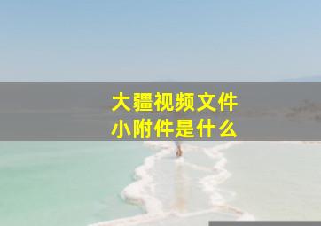 大疆视频文件小附件是什么