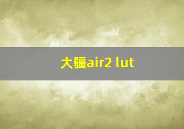 大疆air2 lut