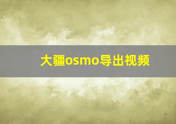 大疆osmo导出视频