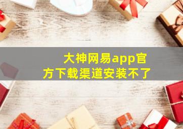 大神网易app官方下载渠道安装不了