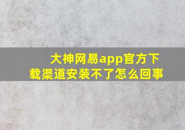 大神网易app官方下载渠道安装不了怎么回事