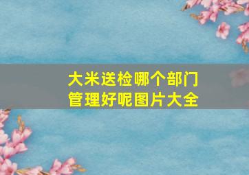 大米送检哪个部门管理好呢图片大全