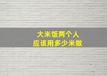 大米饭两个人应该用多少米做