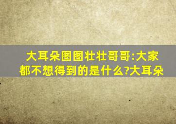 大耳朵图图壮壮哥哥:大家都不想得到的是什么?大耳朵