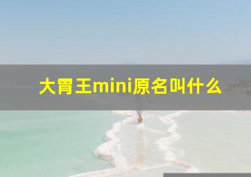 大胃王mini原名叫什么